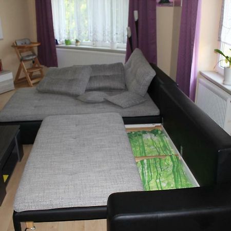 Ferienwohnung Am Schunckpark Dresda Esterno foto